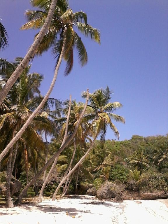 La Hacienda Hostel Las Galeras Eksteriør billede